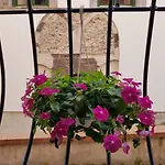 Le Petit Bouganville