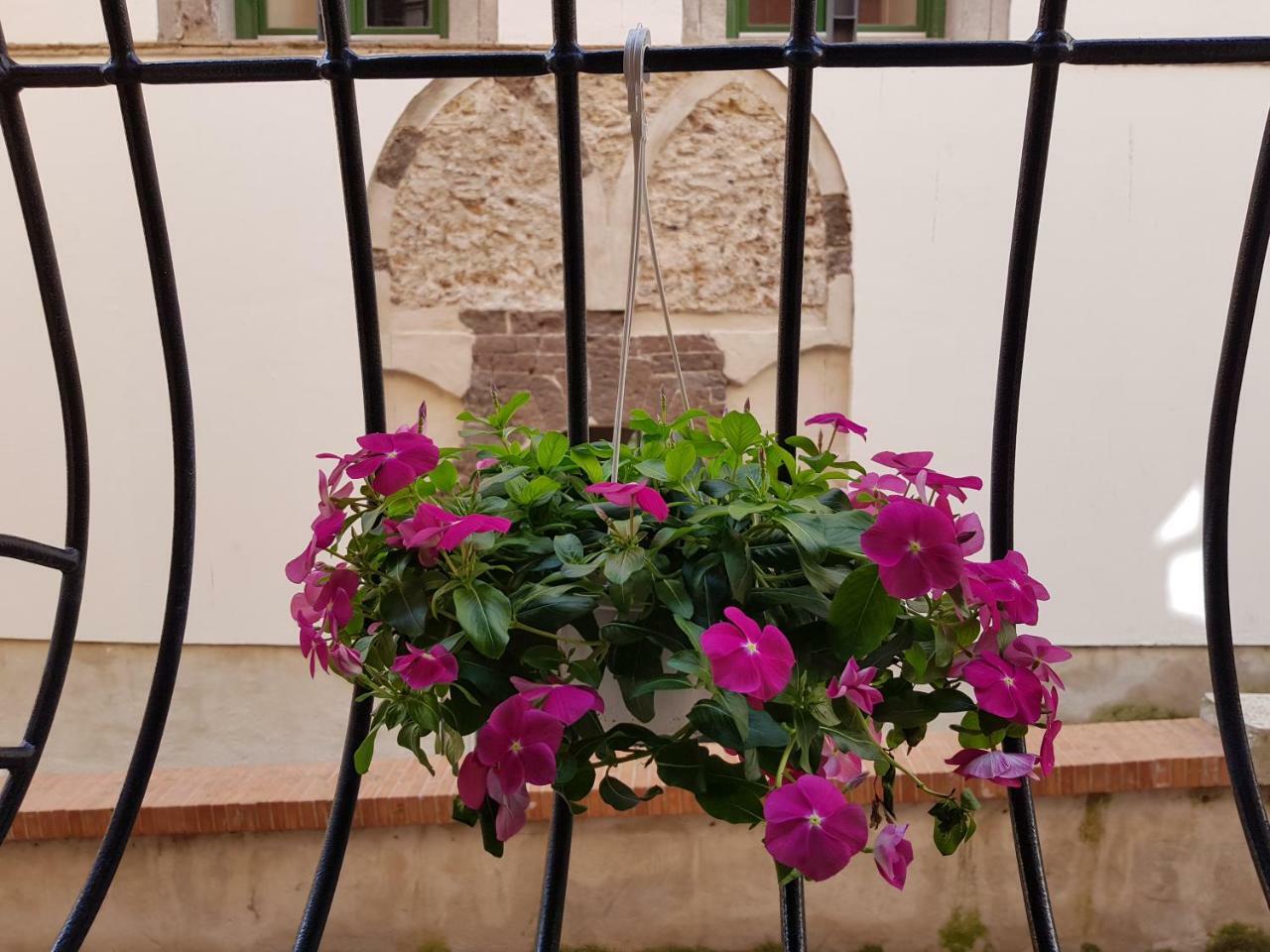 Le Petit Bouganville Apartamento *